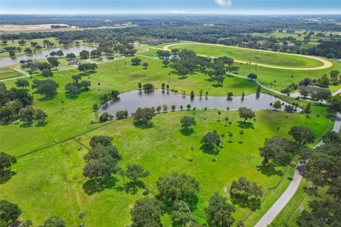 Land in Summerfield, Florida № 1334794 - photo 14