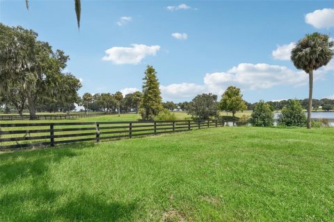 Land in Summerfield, Florida № 1334792 - photo 7