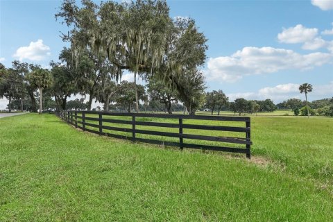 Terrain à vendre à Summerfield, Floride № 1334792 - photo 6