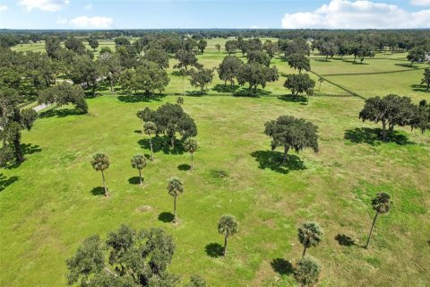 Terrain à vendre à Summerfield, Floride № 1334792 - photo 11