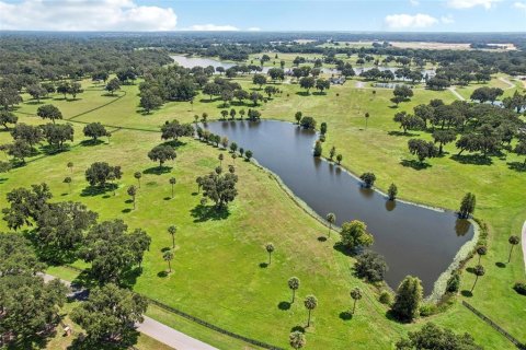 Terreno en venta en Summerfield, Florida № 1334792 - foto 10