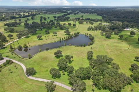 Land in Summerfield, Florida № 1334792 - photo 14