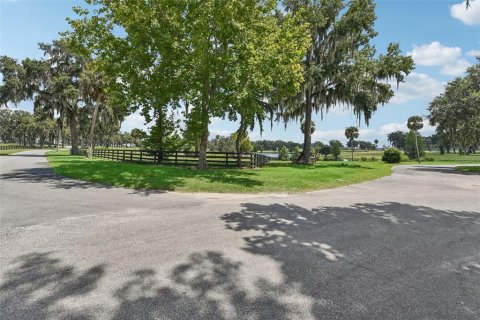 Terreno en venta en Summerfield, Florida № 1334792 - foto 2