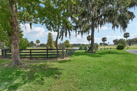 Land in Summerfield, Florida № 1334792 - photo 1