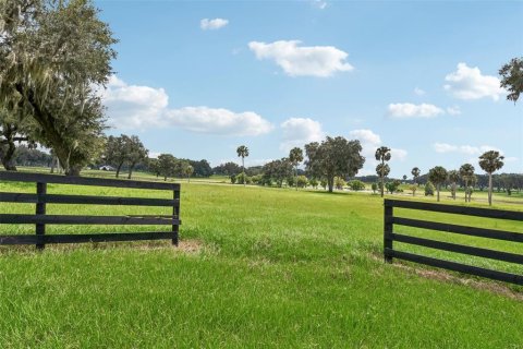 Land in Summerfield, Florida № 1334792 - photo 5