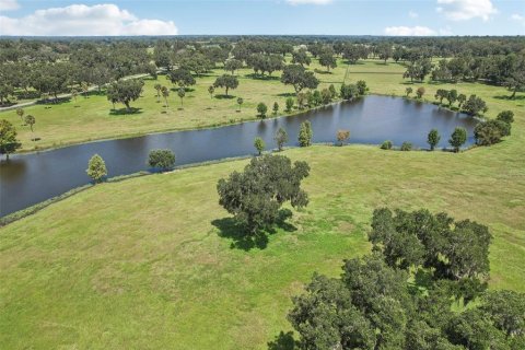 Terreno en venta en Summerfield, Florida № 1334792 - foto 12