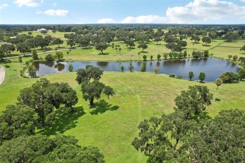 Terreno en venta en Summerfield, Florida № 1334792 - foto 15