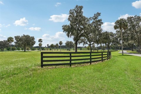 Terrain à vendre à Summerfield, Floride № 1334792 - photo 4