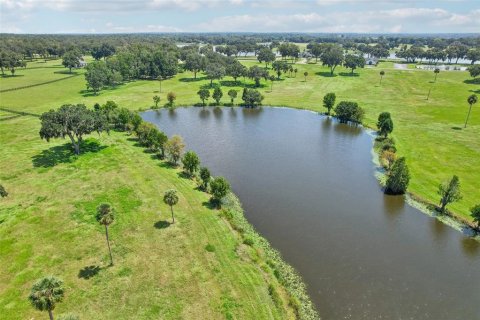 Land in Summerfield, Florida № 1334793 - photo 7