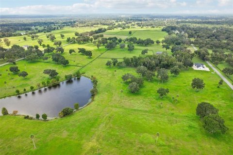 Terreno en venta en Summerfield, Florida № 1334793 - foto 14