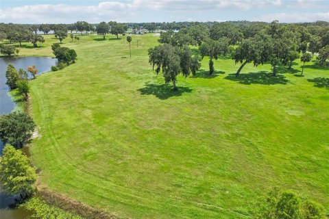 Land in Summerfield, Florida № 1334793 - photo 12