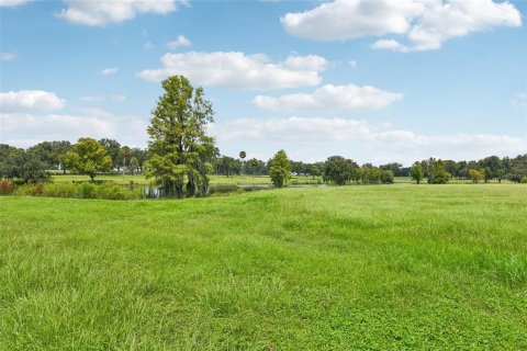 Land in Summerfield, Florida № 1334793 - photo 2