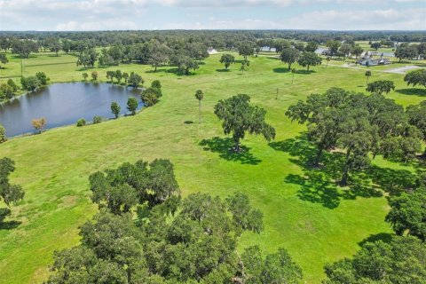 Terreno en venta en Summerfield, Florida № 1334793 - foto 8