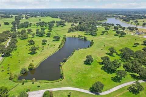 Land in Summerfield, Florida № 1334793 - photo 9