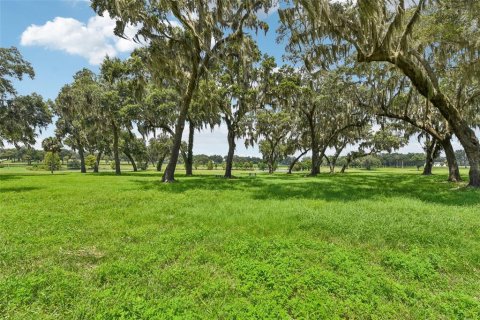 Terrain à vendre à Summerfield, Floride № 1334793 - photo 4