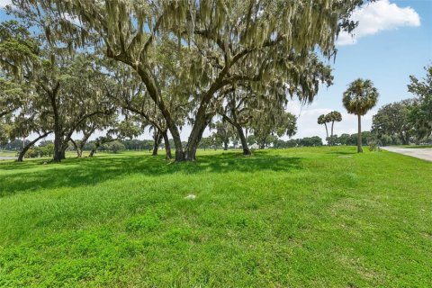 Terrain à vendre à Summerfield, Floride № 1334793 - photo 6