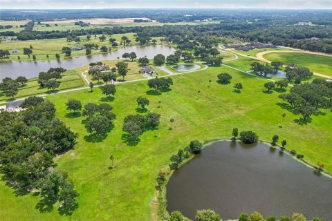 Land in Summerfield, Florida № 1334793 - photo 13