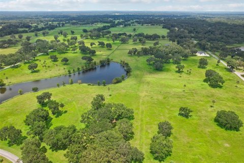 Land in Summerfield, Florida № 1334793 - photo 15