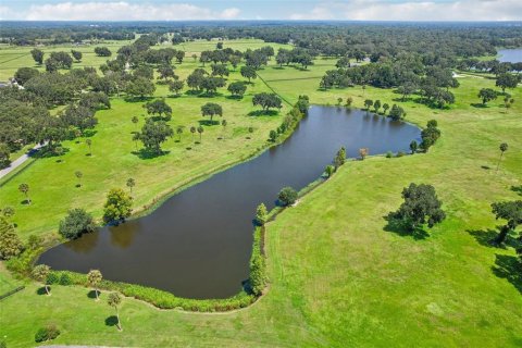 Terreno en venta en Summerfield, Florida № 1334793 - foto 10