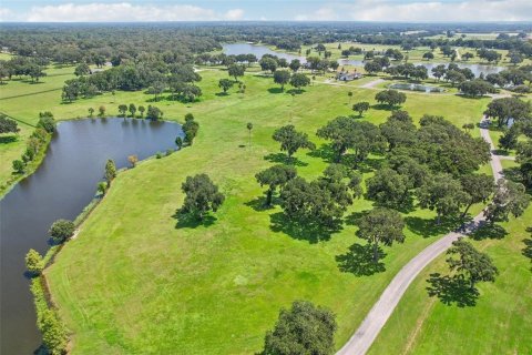 Land in Summerfield, Florida № 1334793 - photo 11