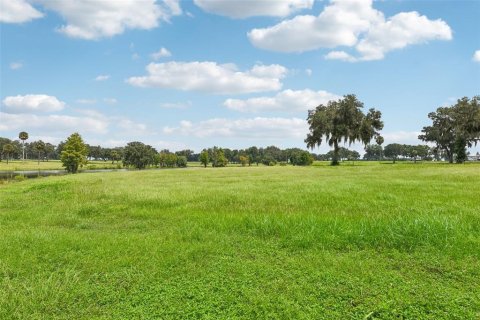 Land in Summerfield, Florida № 1334793 - photo 3