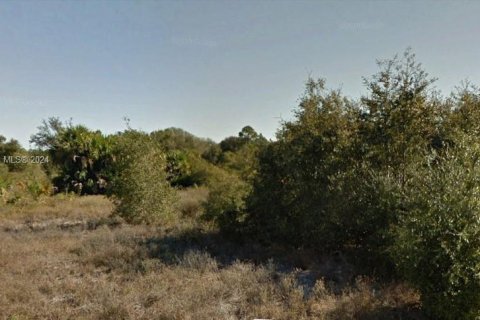 Terreno en venta en Lehigh Acres, Florida № 1330326 - foto 1