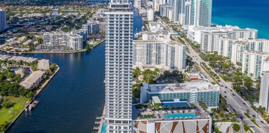 Condo in Hollywood, Florida, 1 bedroom  № 1081310