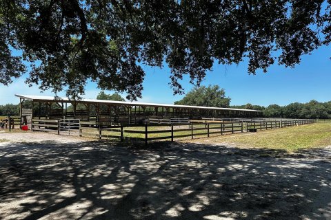 Land in Okeechobee, Florida № 1127880 - photo 7