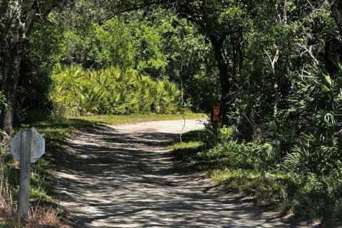 Land in Okeechobee, Florida № 1127880 - photo 30