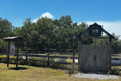 Land in Okeechobee, Florida № 1127880 - photo 10