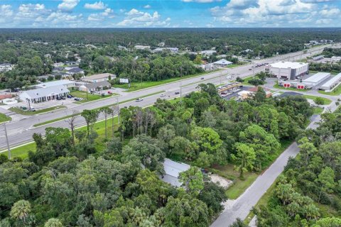 Land in Port Charlotte, Florida № 1363641 - photo 9