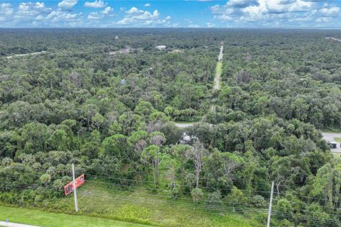 Land in Port Charlotte, Florida № 1363641 - photo 4