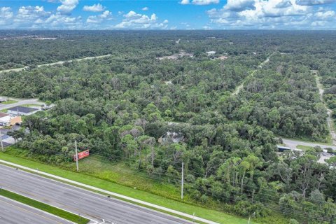 Land in Port Charlotte, Florida № 1363641 - photo 5