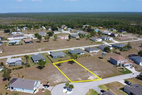 Terrain à vendre à Punta Gorda, Floride № 1369356 - photo 6