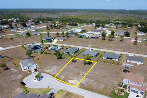 Land in Punta Gorda, Florida № 1369356 - photo 2