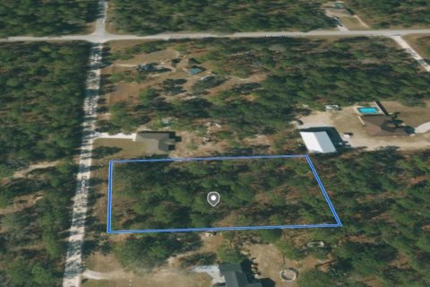 Terreno en venta en Dunnellon, Florida № 1363934 - foto 3