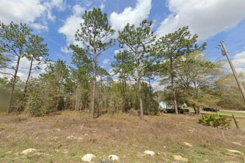 Terrain à vendre à Dunnellon, Floride № 1363934 - photo 1