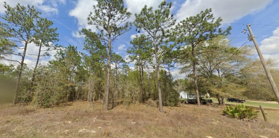 Land in Dunnellon, Florida № 1363934