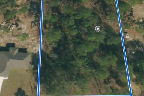 Land in Dunnellon, Florida № 1363934 - photo 2