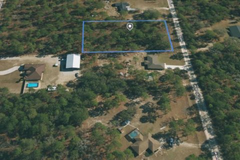 Terreno en venta en Dunnellon, Florida № 1363934 - foto 4