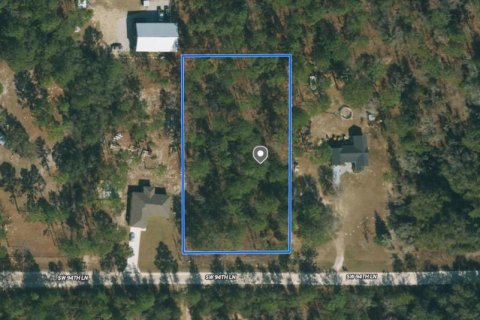 Land in Dunnellon, Florida № 1363934 - photo 6