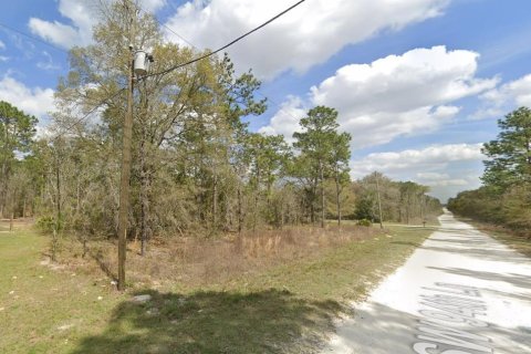 Terrain à vendre à Dunnellon, Floride № 1363934 - photo 5