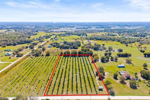 Land in Zephyrhills, Florida № 1014739 - photo 5