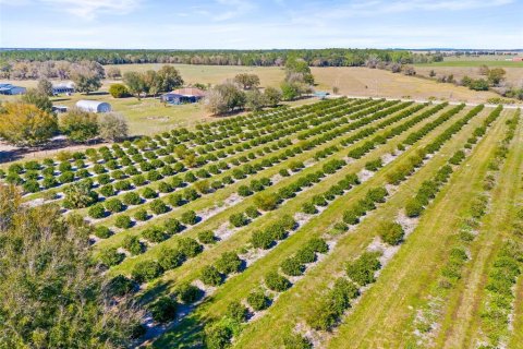 Land in Zephyrhills, Florida № 1014739 - photo 17