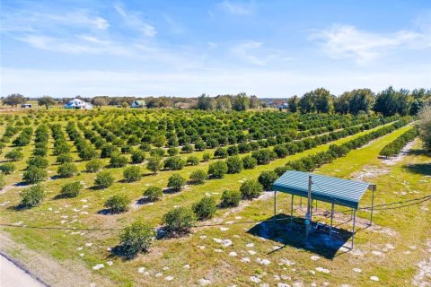 Land in Zephyrhills, Florida № 1014739 - photo 20