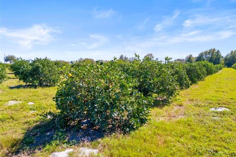 Land in Zephyrhills, Florida № 1014739 - photo 19