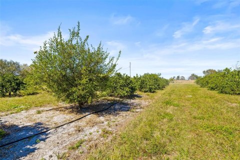 Land in Zephyrhills, Florida № 1014739 - photo 24