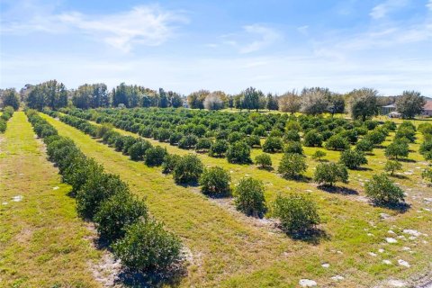 Land in Zephyrhills, Florida № 1014739 - photo 1