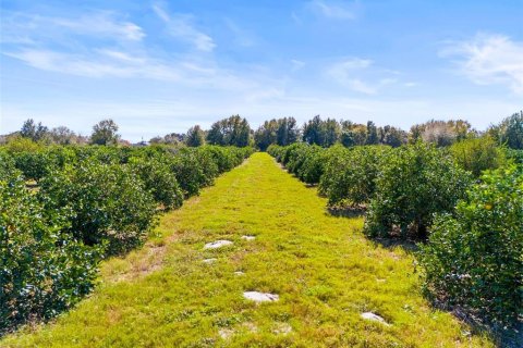 Land in Zephyrhills, Florida № 1014739 - photo 2