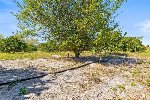 Land in Zephyrhills, Florida № 1014739 - photo 25